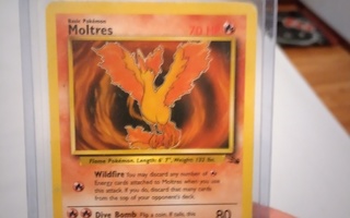 Moltres kortti