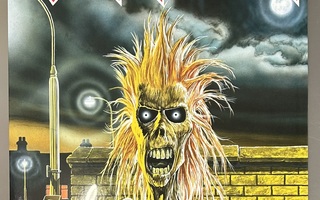 IRON MAIDEN : Iron Maiden - LP, uusi