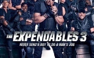 The Expendables 3 (2Discs) DVD