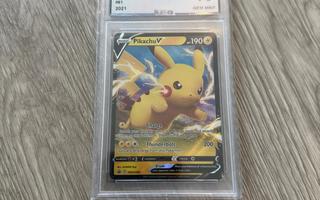 Pikachu V Promo #61 UCG 10 Pokemon kortti