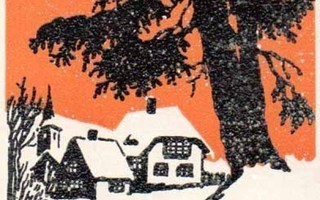 JUGEND / Lumipeitteiset talot ja ruskottava taivas. 1900-l.
