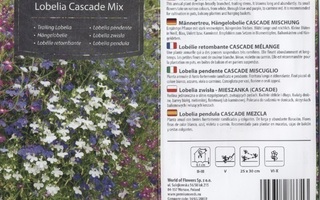 Lobelia "Cascade Mix" - siemenet