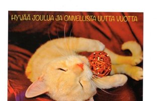 "HYVÄÄ JOULUA JA ONNELLISTA UUTTA VUOTTA" ...Kissa -KORTTI