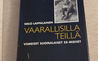 Niilo Lappalainen: Vaarallisilla teillä