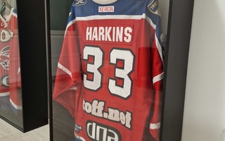 Brett Harkins IFK pelipaita gameworn