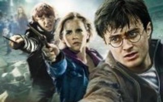 Harry Potter Ja Kuoleman Varjelukset - Osa 2  DVD