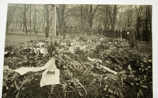 Helsinki 1918 Saksalaisten haudalta sotilaita saattamassa *