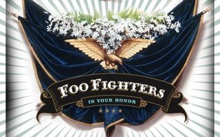 Foo Fighters - In your honor -2 cd