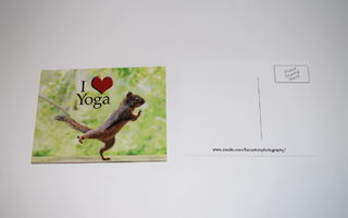 postikortti orava I love yoga