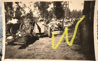 Tyrjä Raatteentie elokuussa 1941
