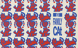 The Family Cat – Remember What It Is That You Love