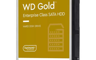 Western Digital Gold 3,5" 20 TB Serial ATA III