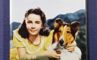 (SL) DVD) Urhea Lassie (1946) Elizabeth Taylor