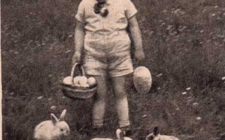 LAPSI / Pikkupoika, pupuja ja munakori. 1930-l.