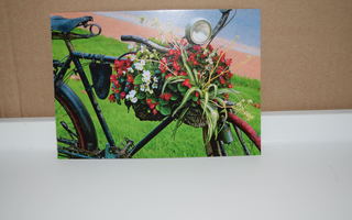 postikortti polkupyörä ALE