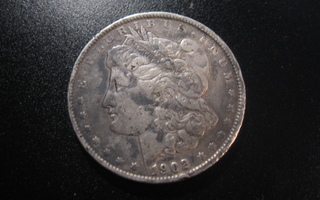 USA 1 dollar hopeaa - 1902