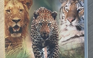 Leijonat, tiikerit ja leopardit (4DVD) luontoelokuvia (UUSI)