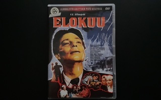 DVD: Elokuu (O: Matti Kassila 1956/2003)