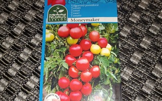 Tomaatti "Money Maker" 0,3g siemeniä