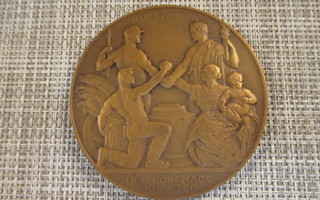 Suomen tasavallan hallitusmuoto mitali 1919/ Emil Wikström .