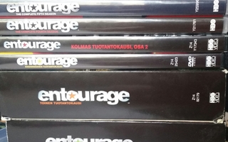 Entourage -kaudet 1-6 -DVD