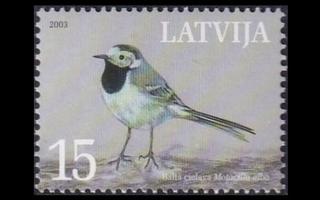 Latvia 596 ** Kansallislintu västäräkki (2003)