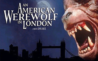 An American Werewolf in London  -  (HD DVD)