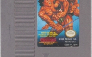 Tecmo World Wrestling