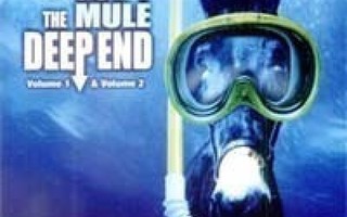 Gov't Mule: Deep End Vol 1 & 2 -3cd (uusi/muoveissa)