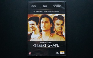 DVD: What's Eating Gilbert Grape (Johnny Depp 1993)