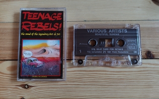 Various: Teenage Rebels! c-kasetti