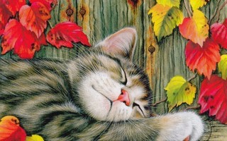 Irina Garmashova: Syksy, kissa nukkuu