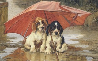 William Trood: Koirat sateenvarjon alla
