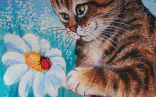 Irina Garmashova kissa ihmettelee leppäkerttua kukassa