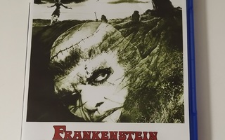 Frankenstein and the Monster from Hell