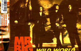 Mr. Big – Wild World CD Maxi-Single
