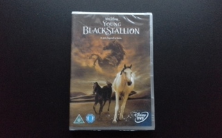 DVD: Young Black Stallion, Disney. UUSI