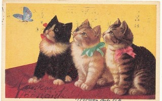 Maire KÖNNI - Kissoja - vanha kortti