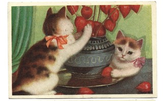 Vanhat kortit, 3 kpl: Kissat