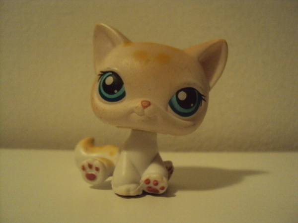 Littlest pet shop sales kissa