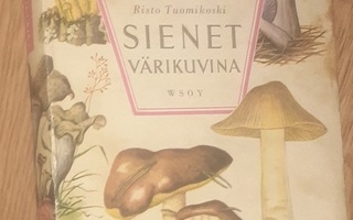 Risto Tuomikoski: Sienet värikuvina (1959)