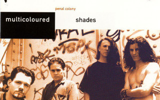 Penal Colony - Multicoloured Shades
