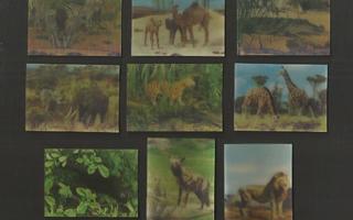 KELLOGGS 3D/KOLMIULOTTEISET KUVAT "Afrikan eläimiä" 9 kpl