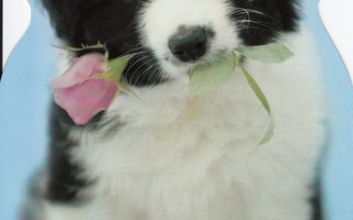 Koiralla ruusu (muotoonleikattu kortti)