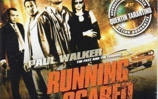 Running Scared (Paul Walker (9754)LAFFAPOKKARI