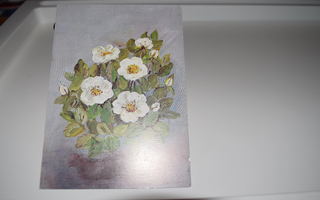 postikortti (A) kukka kimppu