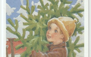 Rudolf Koivu : Poika kantaa joulukuusta