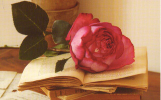 Ruusu ja kirjat