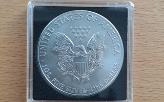 USA Silver Eagle 1 oz hopeakolikko