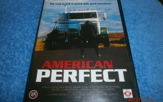 AMERICAN PERFECT   -  DVD